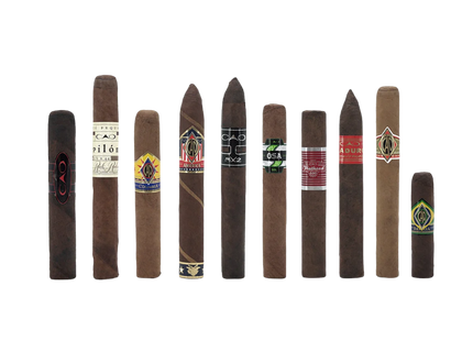 CAO CHAMPIONS