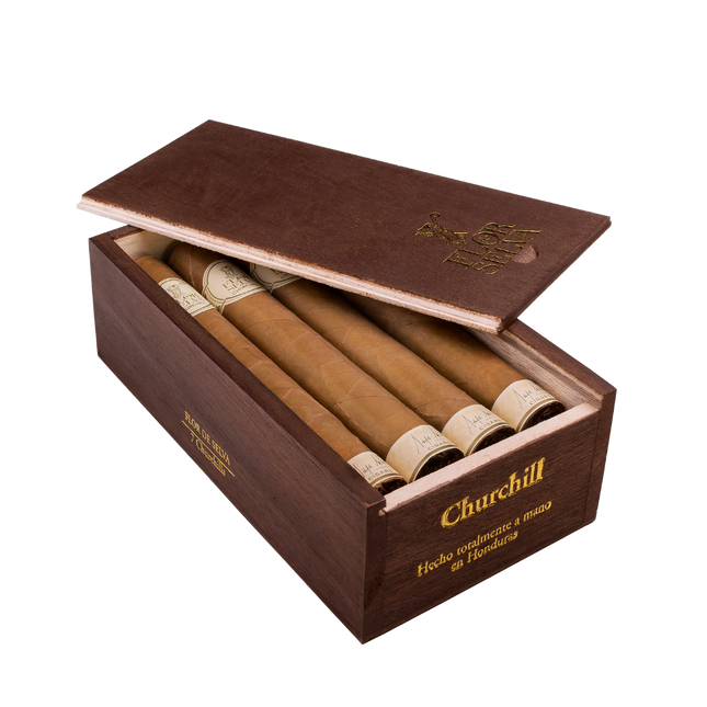Clasica Churchills 7'S