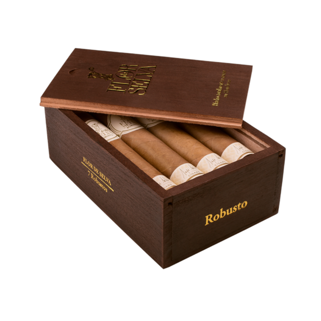 Clasica Robusto 7'S