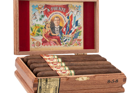 Flor Fina 8-5-8 Anniversary