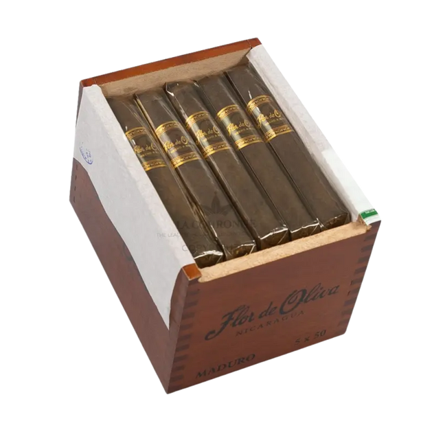 Flor de Oliva Maduro Robusto