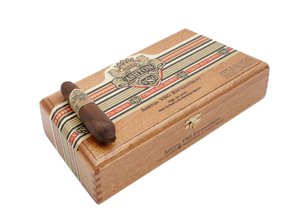 VSG 魅力双尖鱼雷